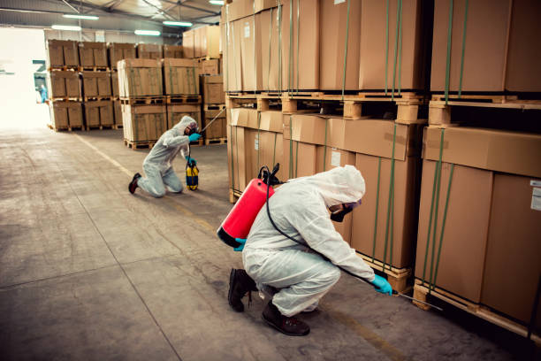 Best Local Pest Control Services  in Roxborough Park, CO