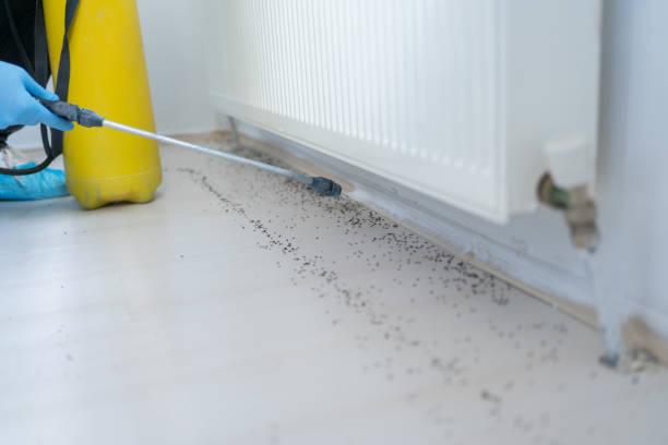 Pest Control for Restaurants in Roxborough Park, CO
